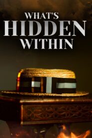 What’s Hidden Within