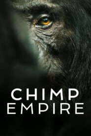 Chimp Empire