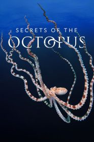 Secrets of the Octopus